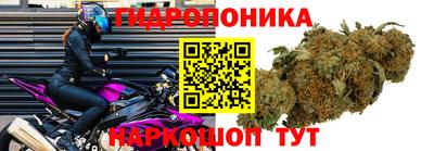 мдпв Гусь-Хрустальный