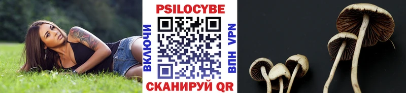 Галлюциногенные грибы прущие грибы  hydra сайт  Мурманск  как найти наркотики 