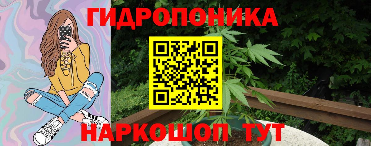 МАРИХУАНА SATIVA & INDICA  Вход с VPN  Мурманск  МАРИХУАНА конопля  Шишки марихуана Ganja 